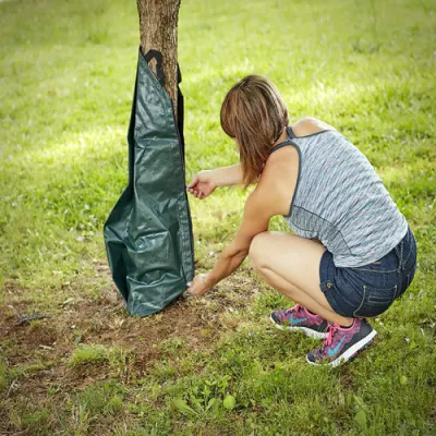 Sacchetti per irrigazione per alberi Confezione da 3 Sacchi per irrigazione a rilascio lento da 20 galloni per alberi e piante Realizzati in materiale telone PE resistente con cerniera Bl21745